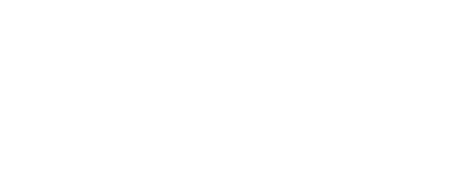 武野屋